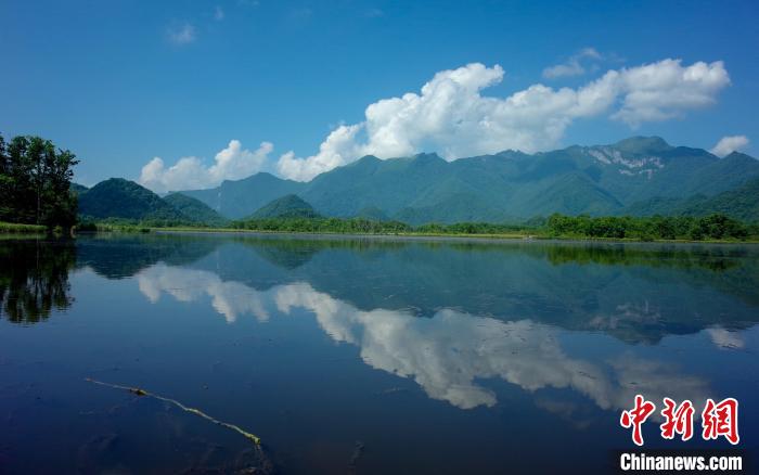 圖為盛夏的神農(nóng)架大九湖美如仙境 張暢 攝