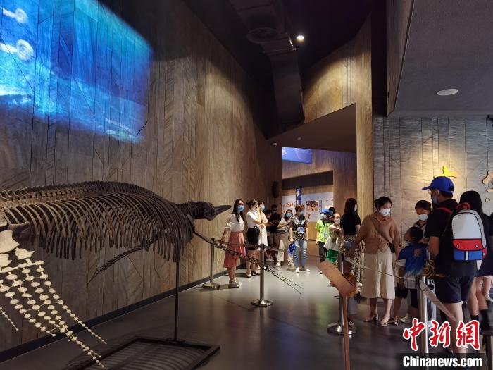 圖為民眾參觀貴州省博物館?！≈苎嗔?攝