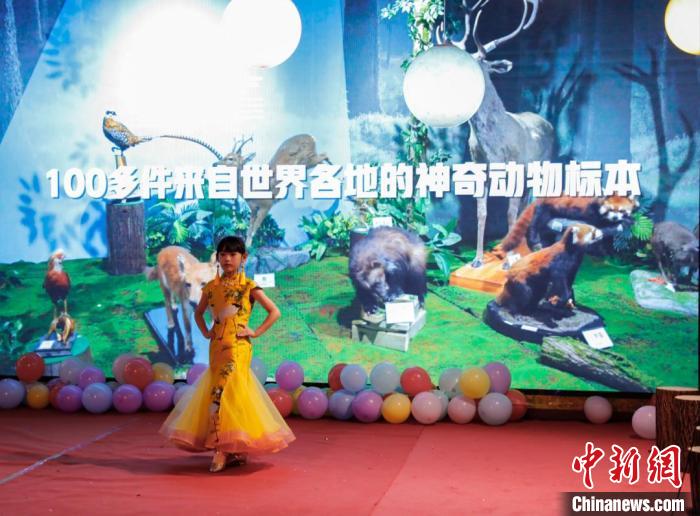 圖為青少年參加貴州省地質(zhì)博物館晚上舉辦的舞臺(tái)秀活動(dòng)?！≠F州省地質(zhì)博物館供圖