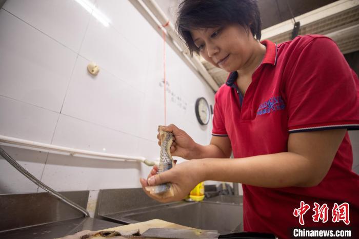 王媛媛正在為動物準(zhǔn)備食物?！「卟?攝