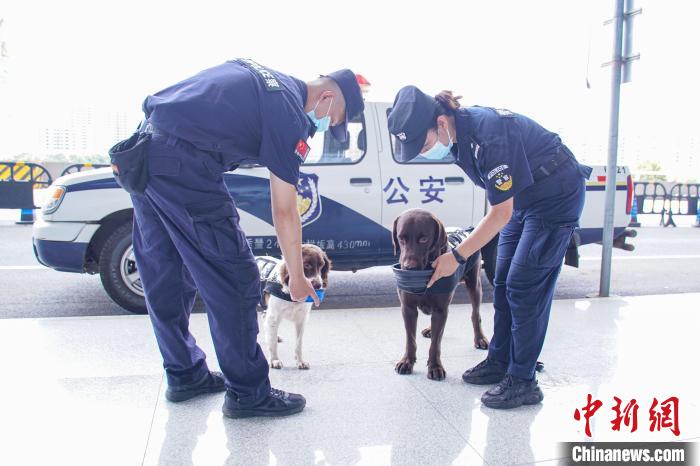 圖為巡邏一段時間后，黃曉莉(右)和唐琥犀(左)用隨身攜帶的折疊碗給警犬喝水?！￡惞谘?攝