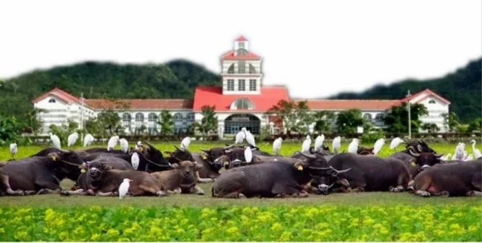 圖為臺(tái)灣花蓮自強(qiáng)外役監(jiān)獄門(mén)前，清幽有如童話世界(自強(qiáng)外役監(jiān)獄供圖)。來(lái)源：聯(lián)合新聞網(wǎng)