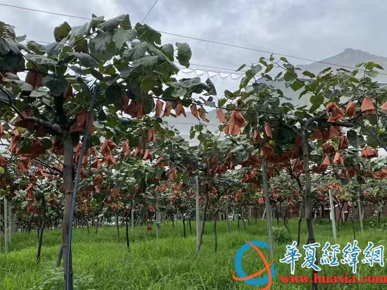 微信圖片_20220827194635 微信圖片_20220827194635