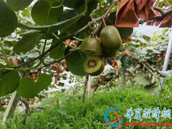 微信圖片_20220827194617 微信圖片_20220827194617