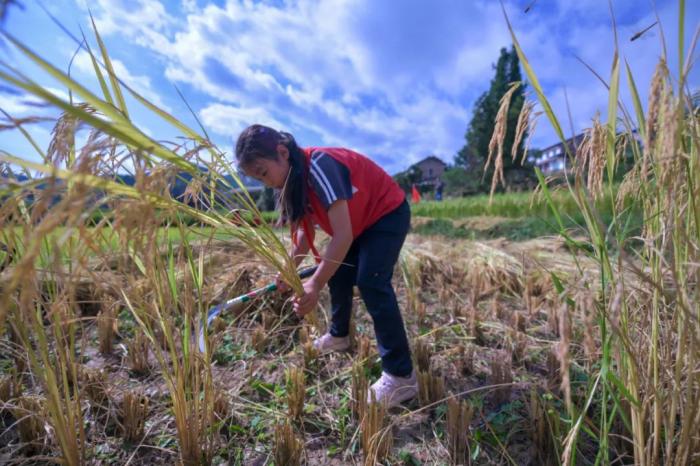 圖片來(lái)源：“今日余慶”微信公眾號(hào)