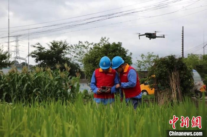 應(yīng)對(duì)臺(tái)風(fēng)“軒嵐諾”浙江搶收蔬菜6萬畝