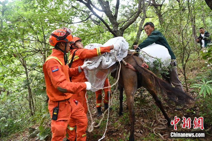 村民趕著騾子前來接應(yīng)。張浪 攝