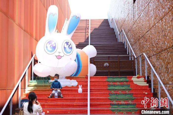 小朋友與兔子合影?！°蟛?攝