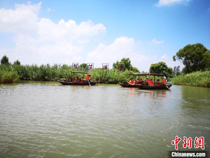 游客乘船進入鹽城大縱湖“蘆蕩迷宮”?！∩虼毫?攝