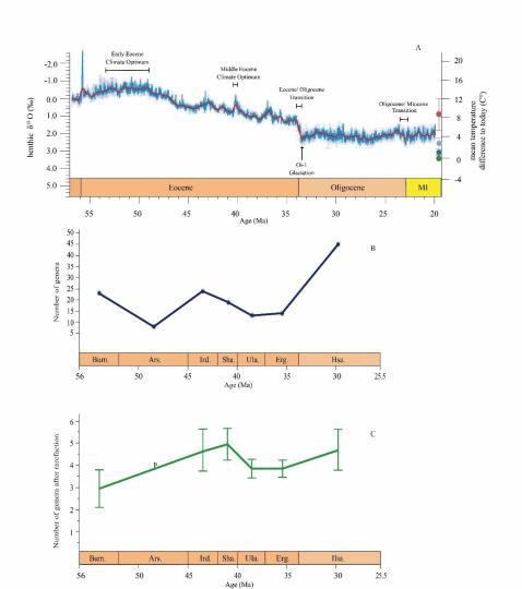 早始新世至早漸新世東亞嚙齒類屬級多樣性變化?！≈锌圃汗偶棺邓?供圖