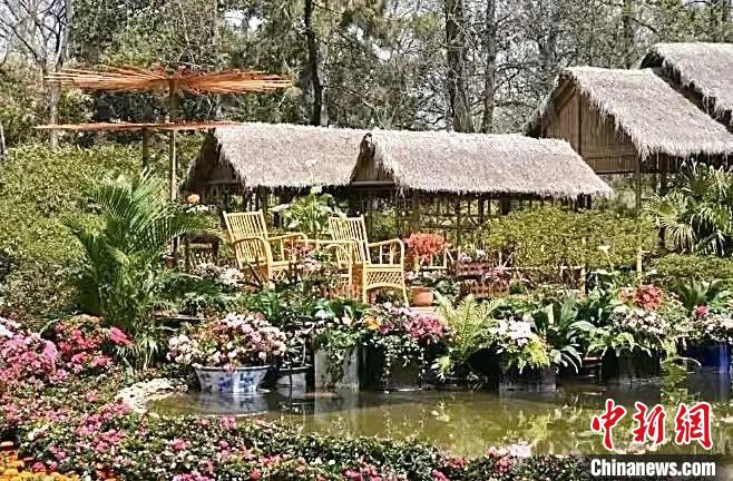 臺(tái)媒看大陸：江南園林代表作——江蘇蘇州拙政園