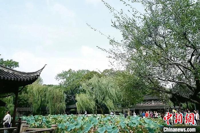 拙政園布局的山島、竹塢、松崗、曲水之趣。圖片來(lái)源：臺(tái)灣《聯(lián)合報(bào)》