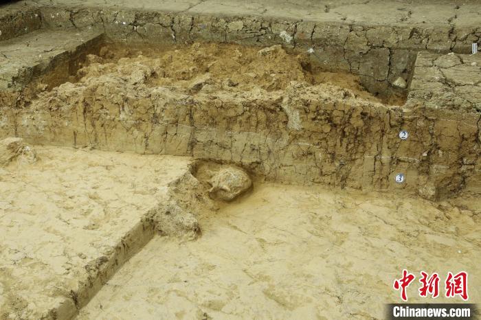 鄖縣人3號頭骨?！椅奈锞止﹫D