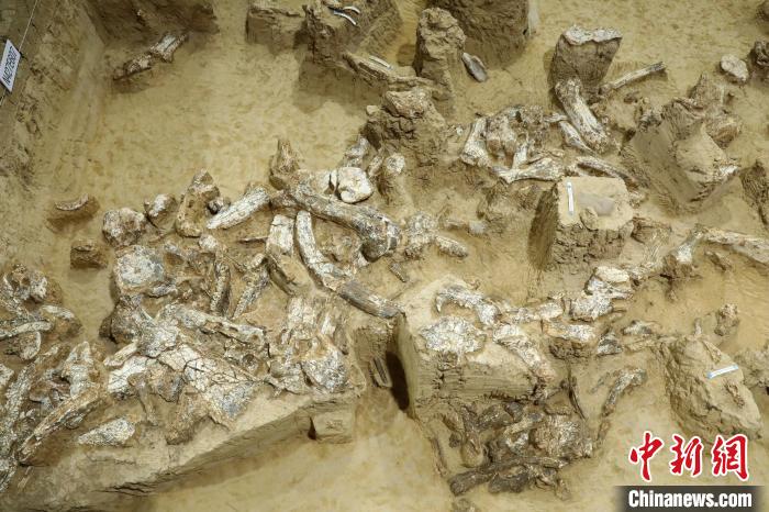 湖北十堰學(xué)堂梁子遺址考古發(fā)掘現(xiàn)場。　國家文物局供圖