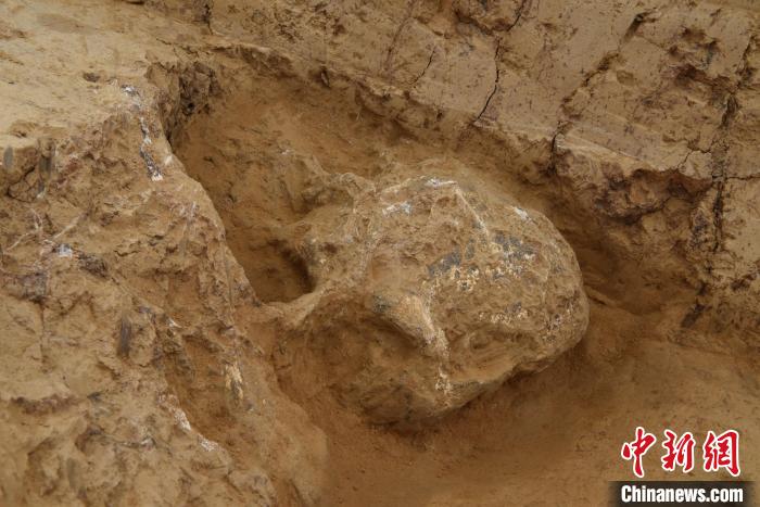 鄖縣人3號頭骨?！椅奈锞止﹫D