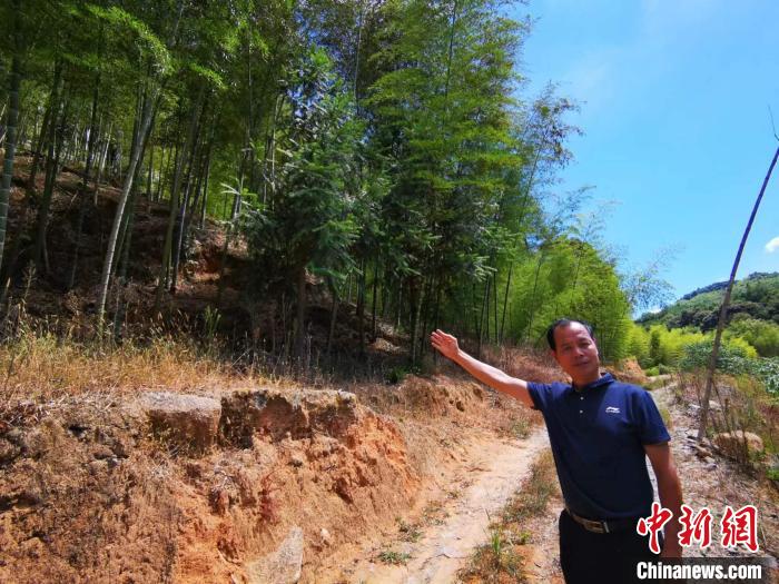 陳毅翔手指處就是當年5位紅軍戰(zhàn)士戰(zhàn)斗犧牲的地方——楊梅嶺?！±壮?攝