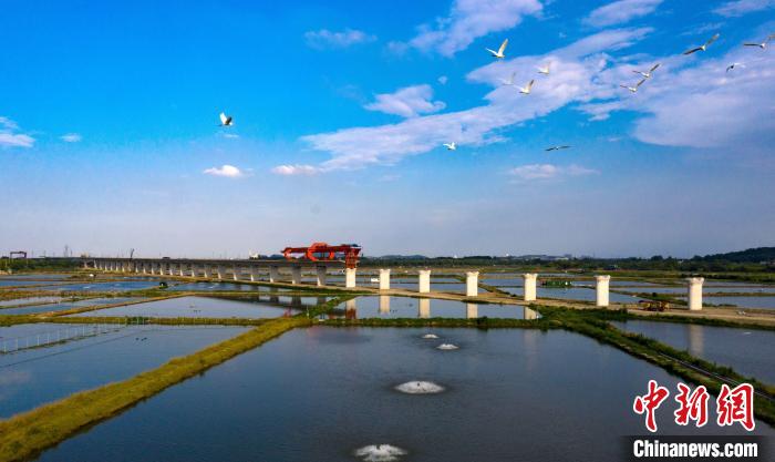 兩代“鐵路人”的深情告白:父子扎根一線書寫奮斗人生