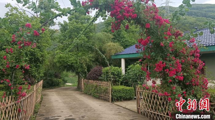 新村村致力于“扮靚新新村，打造身邊的網(wǎng)紅打卡點(diǎn)”?！√镞B崗 攝