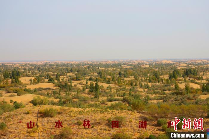 圖為滿眼綠色的庫布其沙漠?！埩只?攝