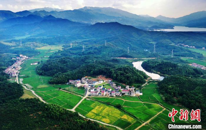 樟樹市店下鎮(zhèn)生態(tài)環(huán)境優(yōu)良，自然風光迷人?！≌翗涫形麄鞑抗﹫D