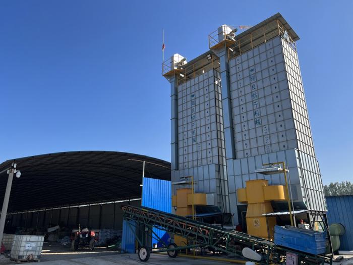 山東省高青縣高城鎮(zhèn)澤豐農(nóng)業(yè)種植專業(yè)合作社將含水量高的玉米輸送到烘干箱內(nèi)進(jìn)行烘干。新華社記者 邵琨 攝