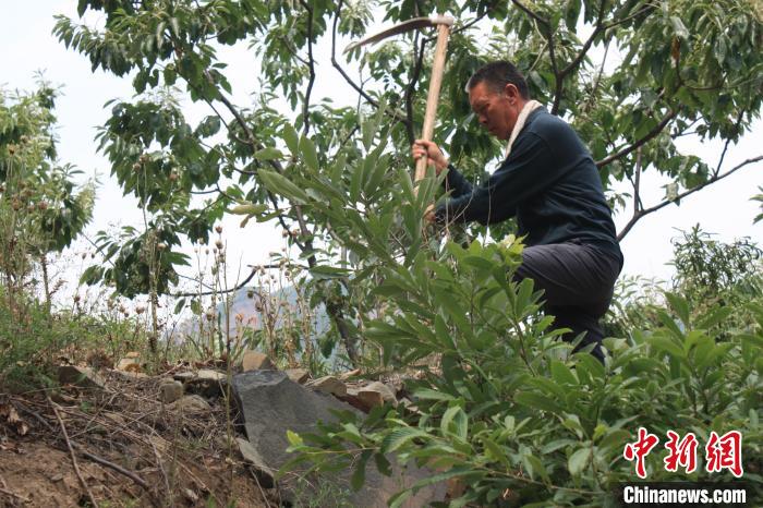 圖為時(shí)雙印?！∥絷柨h融媒體中心供圖