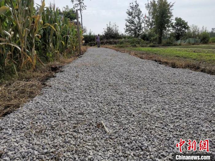 張景運(yùn)利用國(guó)慶假期去拔草修整路面，并自費(fèi)買(mǎi)來(lái)石子鋪在了上面?！?guó)網(wǎng)泗洪縣供電公司供圖