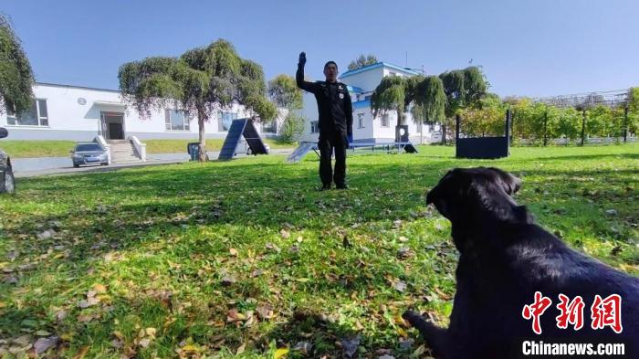 Lucky在訓練 石洪宇 攝