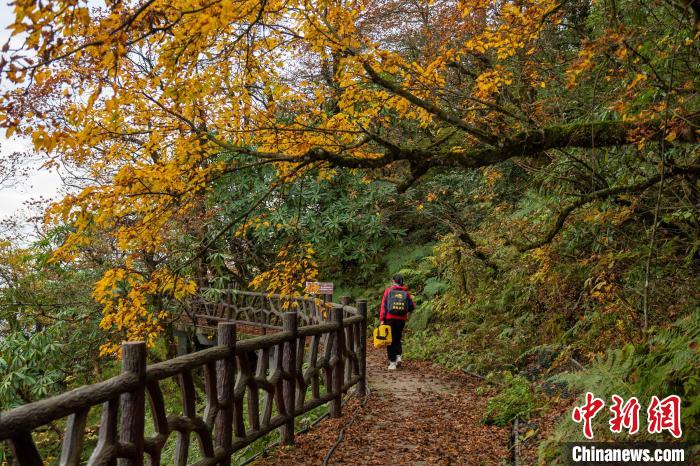 瓦屋秋色怡人。