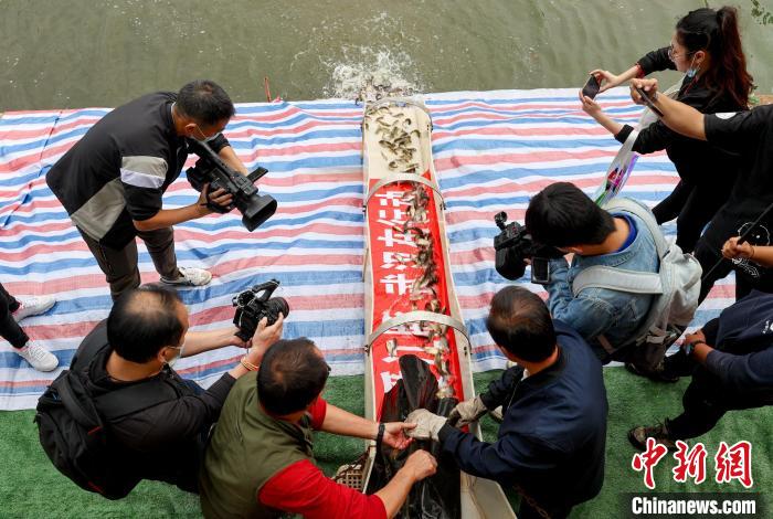 餌料魚捐贈現(xiàn)場 張暢 攝 餌料魚捐贈現(xiàn)場 張暢 攝
