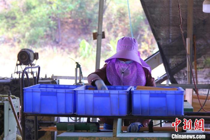 工人對(duì)楠竹進(jìn)行初加工?！±罴儩?攝