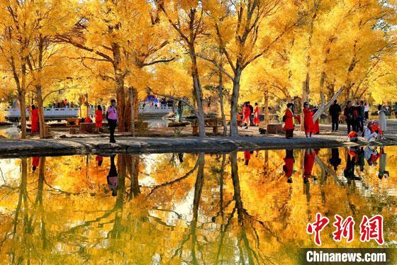 2018年10月下旬，甘肅酒泉市金塔沙漠胡楊林景區(qū)。但在40多年前，這里還滿目皆是光禿禿的荒漠?！钪颈?攝