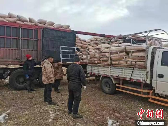 煤炭、飼料、電三輪……錫林郭勒草原上的牧民拼單購物也很溜