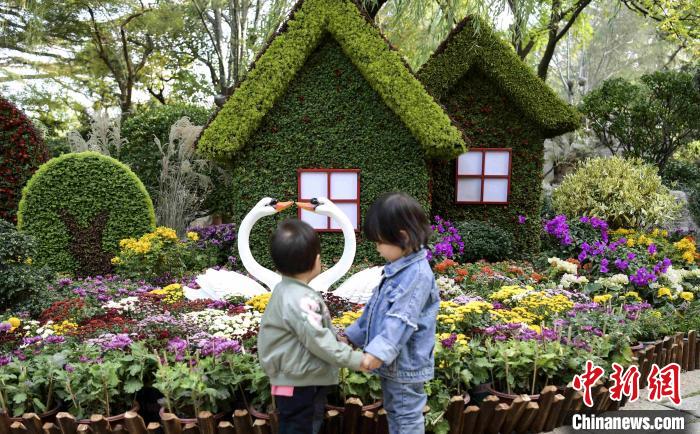 10月25日，第43屆趵突泉金秋菊展在濟南天下第一泉風景區(qū)開幕?！堄?攝