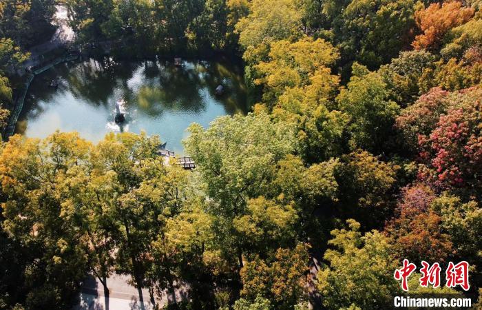 南京棲霞山開啟“賞秋季”?！⌒爝h 攝
