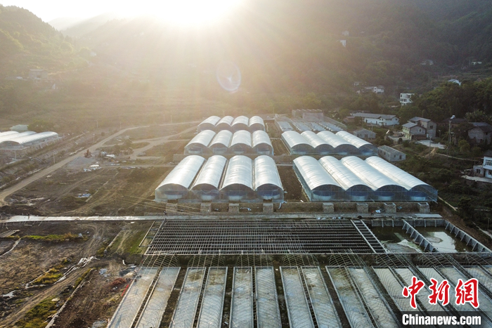 圖為10月19日，航拍初見雛形的“魚菜共生”基地。（無(wú)人機(jī)照片） <a target='_blank' href='/'>中新社</a>記者 何蓬磊 攝