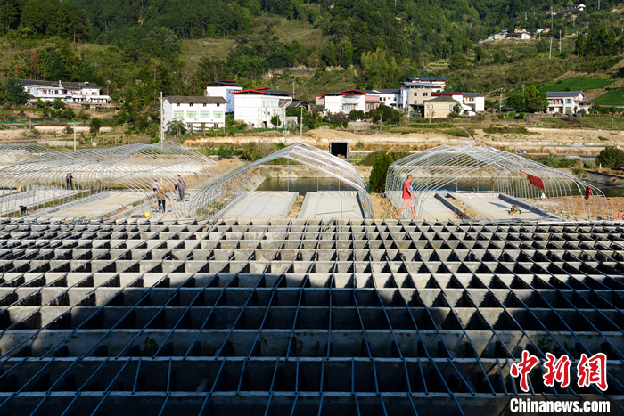 圖為10月19日，“魚菜共生”基地里即將完工的蔬菜種植區(qū)。 <a target='_blank' href='/'>中新社</a>記者 何蓬磊 攝