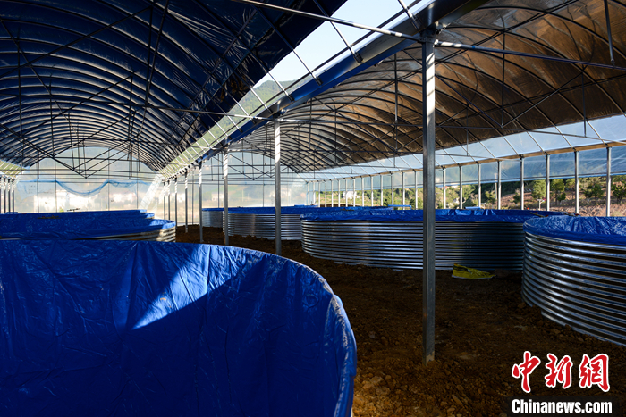 圖為10月19日，“魚菜共生”基地即將投入使用的魚類養(yǎng)殖區(qū)。 <a target='_blank' href='/'>中新社</a>記者 何蓬磊 攝
