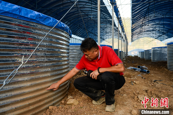 圖為10月19日，賴?yán)乖凇棒~菜共生”基地查看施工進(jìn)展。 <a target='_blank' href='/'>中新社</a>記者 何蓬磊 攝