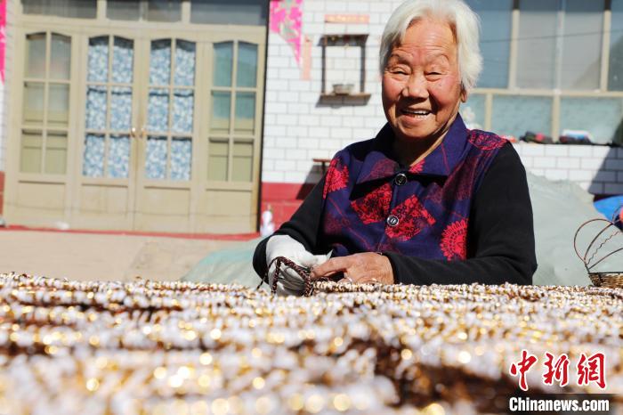 資料圖：村民在平鄉(xiāng)縣霍林寨村花瓶編織脫貧小院里做工。姚友諒 攝