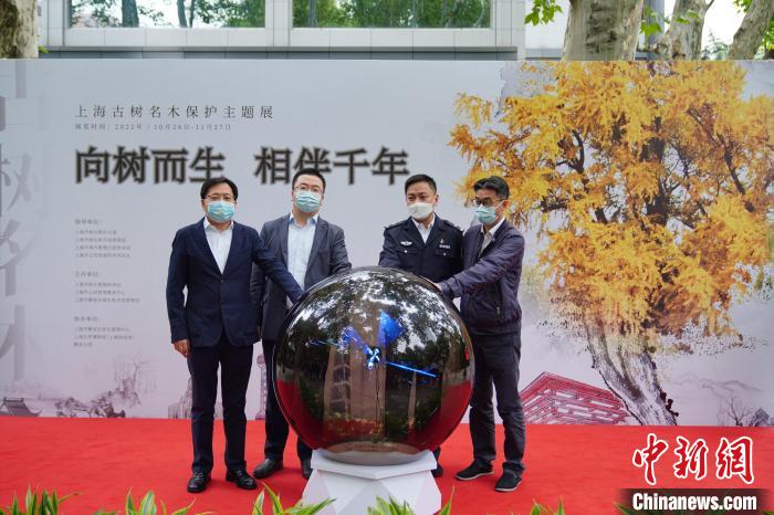 上海留住歷史見證和鄉(xiāng)愁：工程建設讓位古樹保護、為名木建園