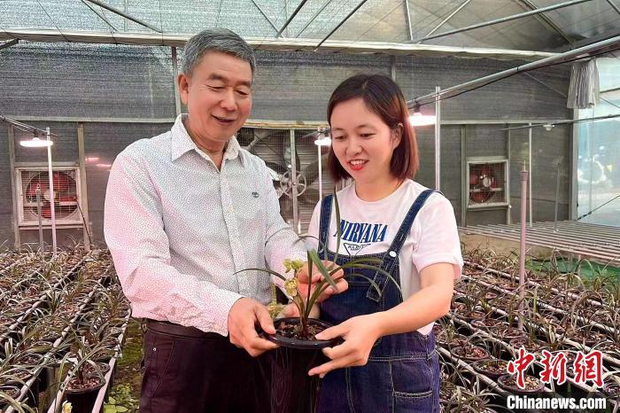 臺灣種蘭人40載扎根閩南：帶徒授藝造?；ㄞr(nóng)