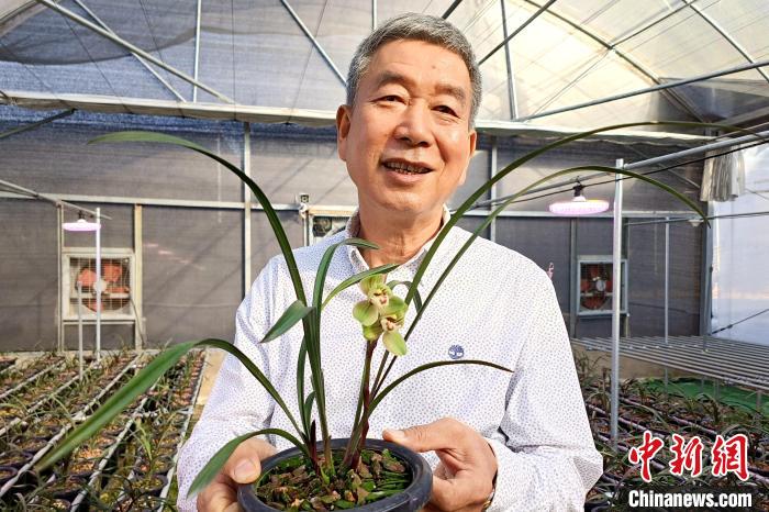 臺胞湯清喜向記者分享他在大陸種植蘭花故事。　廖珍妹 攝