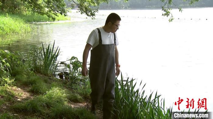 孫堅查看水草生長情況?！∥骱蚬芾硖幑﹫D