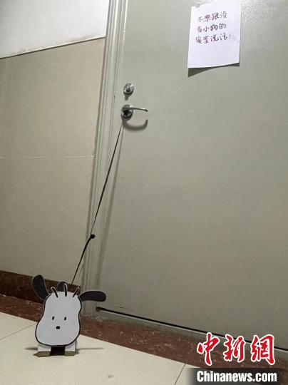 紙盒小狗被“拴”在門口。　范欣然 攝