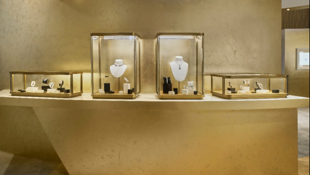 尋蹤豹影  展現(xiàn)獵豹美學歷程