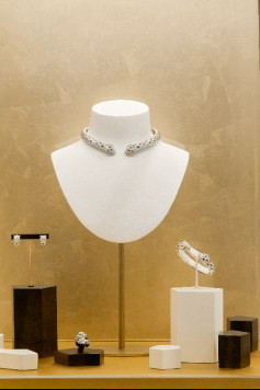 尋蹤豹影  展現(xiàn)獵豹美學歷程