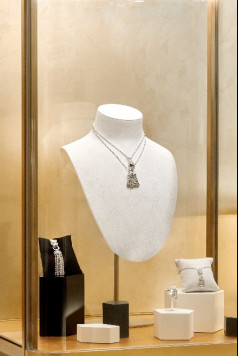 尋蹤豹影  展現(xiàn)獵豹美學歷程