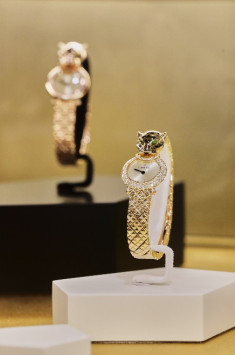 尋蹤豹影  展現(xiàn)獵豹美學歷程