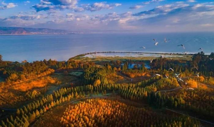 南滇池國家濕地公園。圖片來源：臺灣《經(jīng)濟日報》